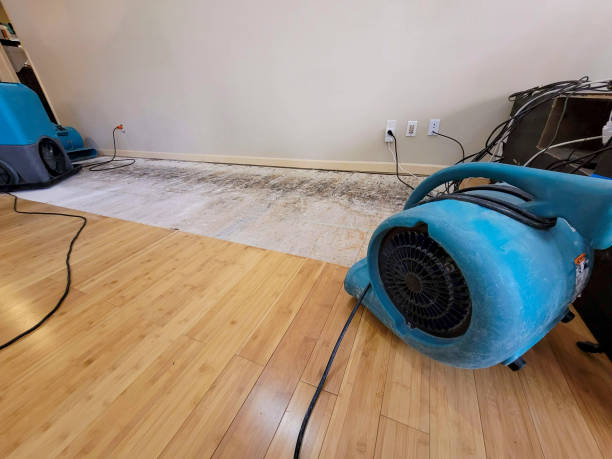 Professional Basement Flood Cleanup technician working in Encino, CA